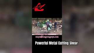 Q43-2500 Timsah makası